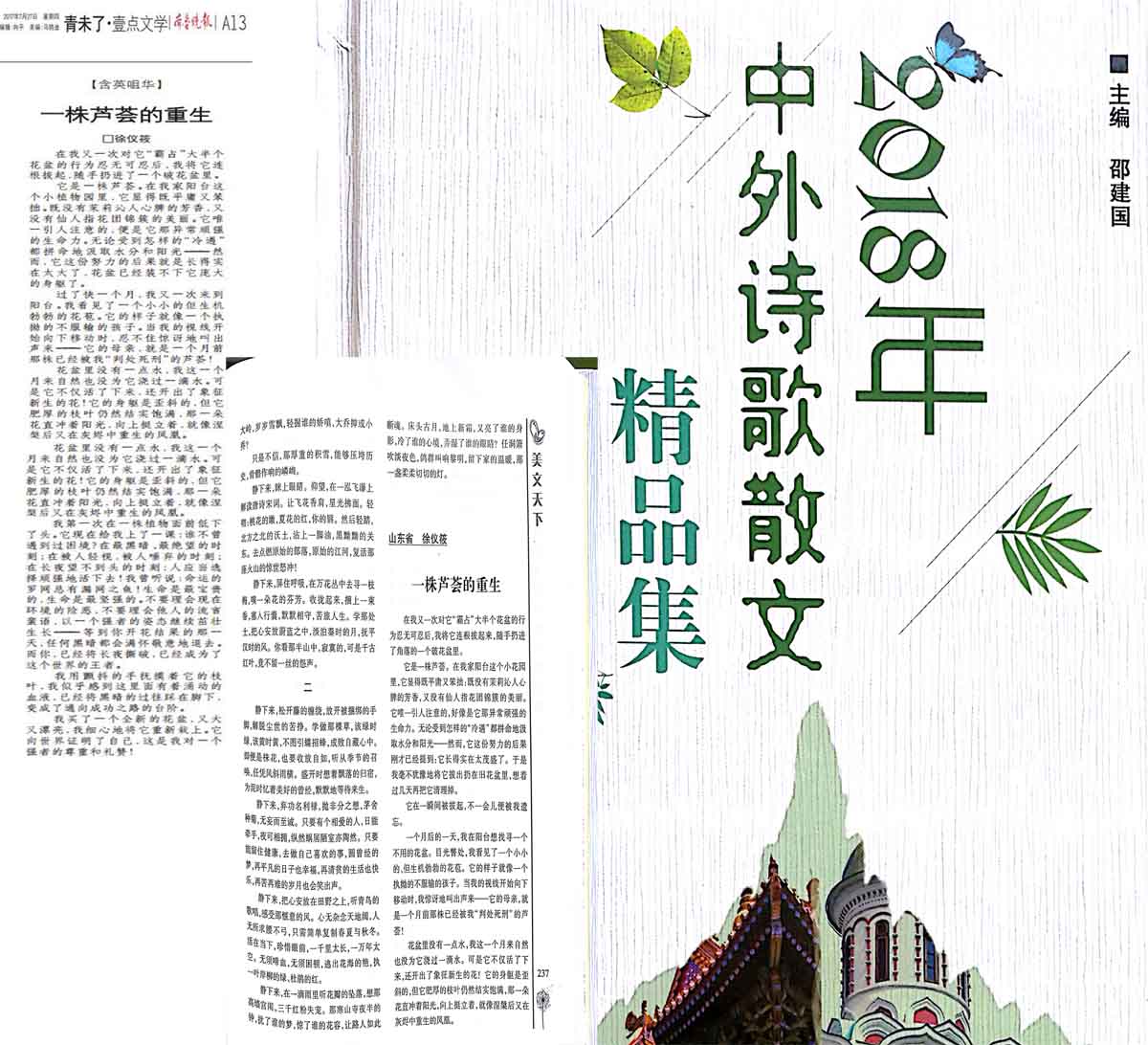 6666一株芦荟.jpg